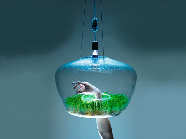 CJWHO ™ (A Suspended Glass Greenhouse Lamp 'glasshouse'...) #creative #lamp #greenhouse #glass #furniture #nature #clever