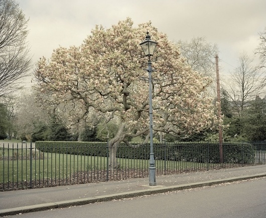 Sprung — Tom Hull — Photography #tom #hull #photography #sprung #spring
