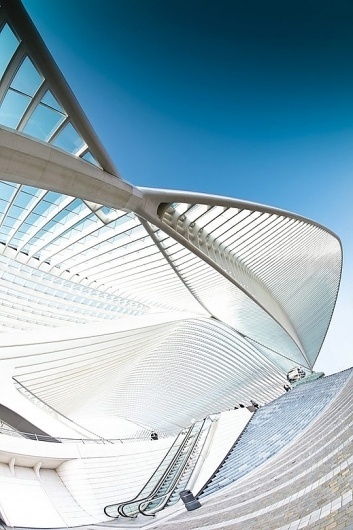 Design You Trust – World's most famous collective design inspirations. #photography