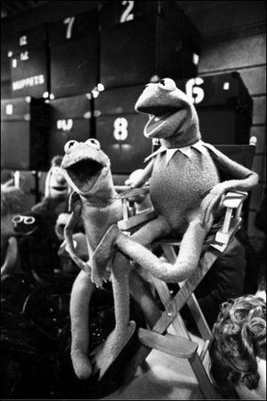 Kermit #design #perfection