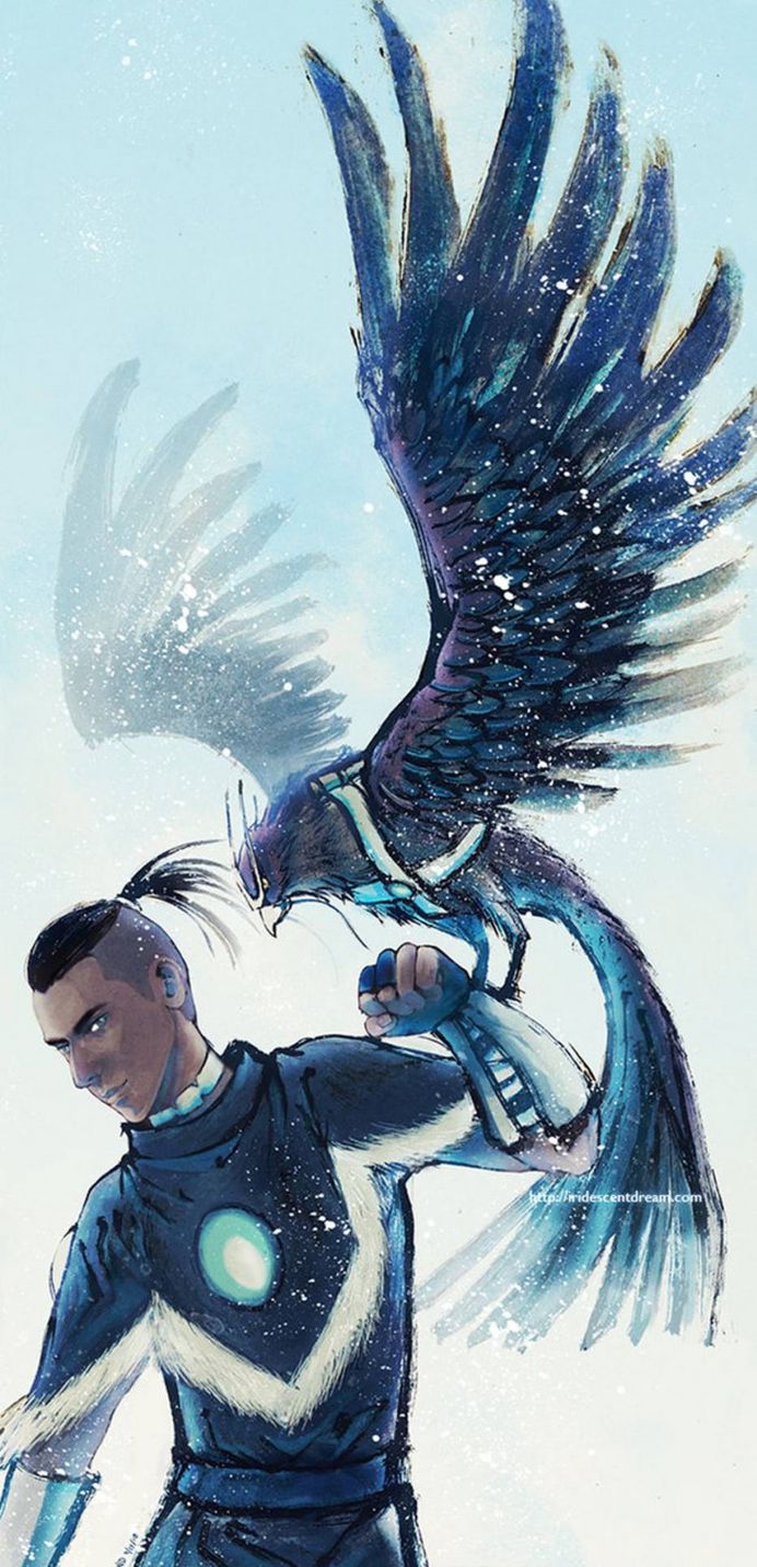 Avatar The Last AirBender Sokka Warrior