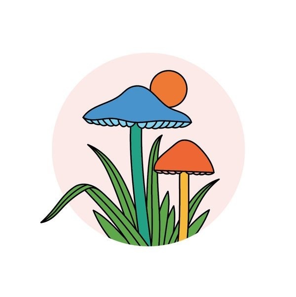 Illustrations by Allison Filice (10)