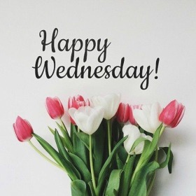 - Good Morning Wednesday