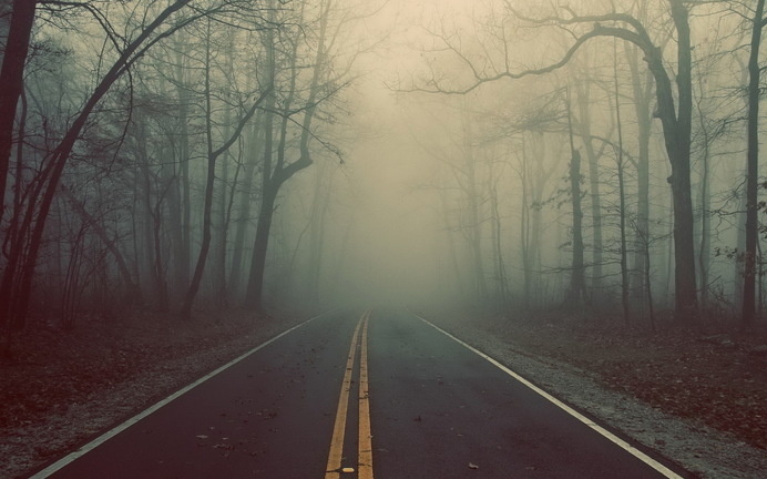 Foggy Road Landscape #inspiration #photography #landscape