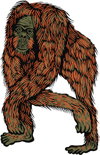 Mark Long #orangutan #wood #cut #lino