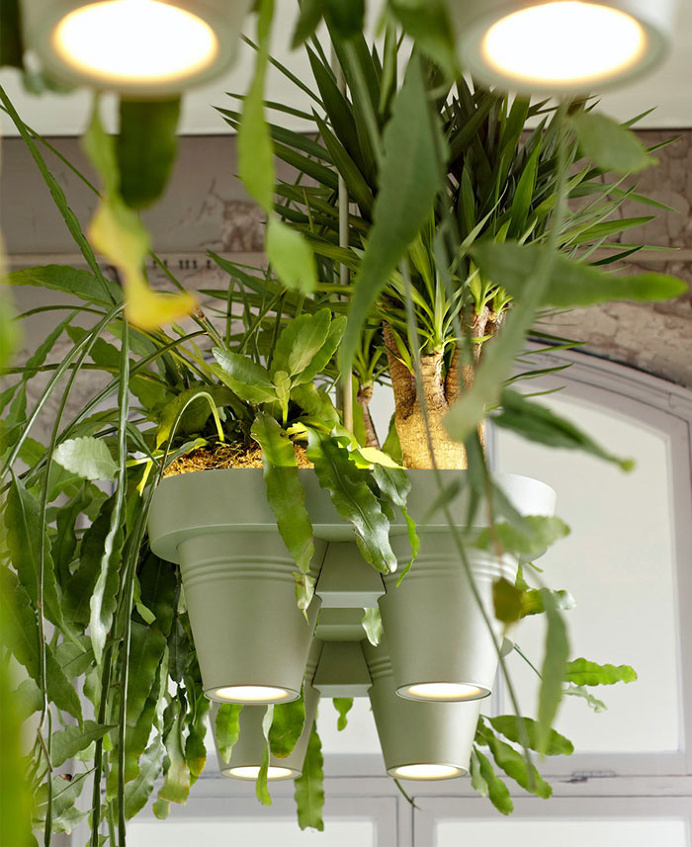 Multifunctional Lamp Brings Rainforest Home - #lamp, #design, #lighting, #productdesign, #industrialdesign, #objects