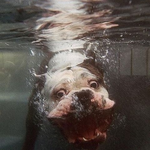 FFFFOUND! #funny