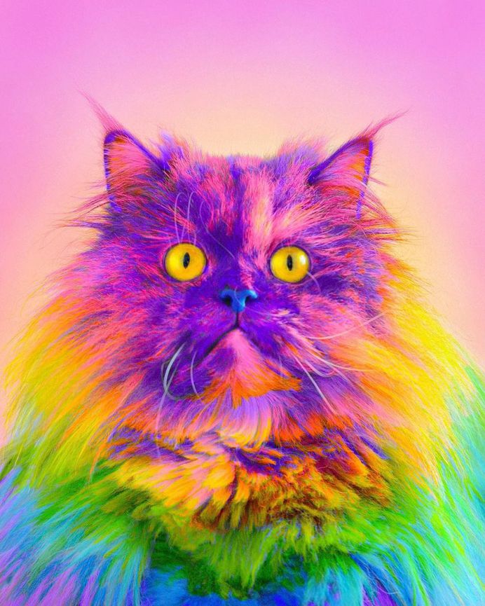 Ramzy Masri Turns The World Into a Rainbow Paradise 7 Ramzy Masri Turns The World Into a Rainbow Paradise