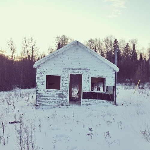 Find momo in a house portrait. #house #hidden #winter #snow #frost #cabin #dog