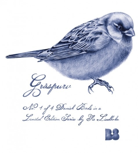 Graaspurv_blaa.png 670×746 pixels #grspurv #fie #danish #bird #lindholm #birds