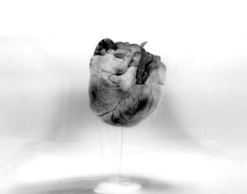 Matt Gardner #create #tumblr #mjg #photography #com #film