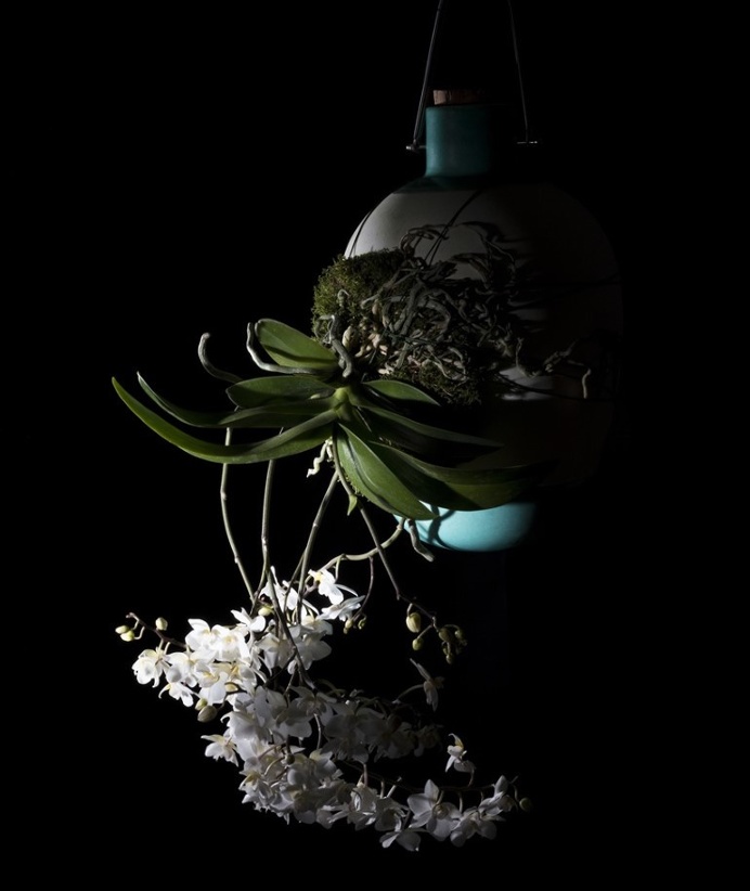 Aerial Ceramic Vases for Indoor Epiphytic House-Plants