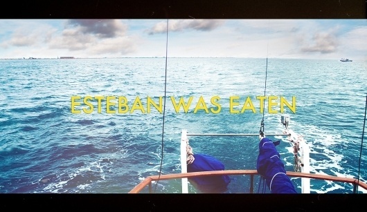 Más tamaños | travelling with Steve Zissou | Flickr: ¡Intercambio de fotos! #aquatic #life