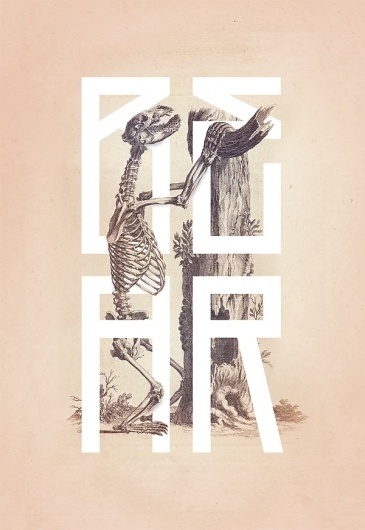 Bone - Anatomy Illustrated on the Behance Network #skeleton #bone #anatomy #book #kelava #josip #poster #bear