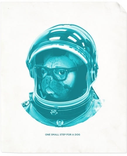 LA GRAPHICA #astronaut #cyan #design #space #french #bulldog