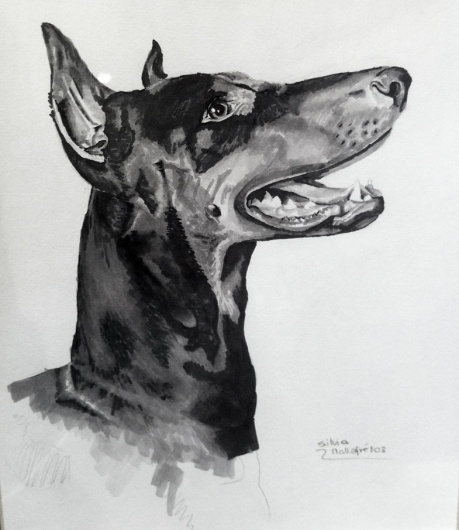 Rotulador anterior 2009 | Silvia Mallofre #mallofre #silvia #doberman #illustration #dog