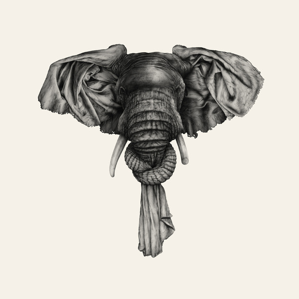 Ugo Gattoni - Elephant #gattoni #ugo #elephant
