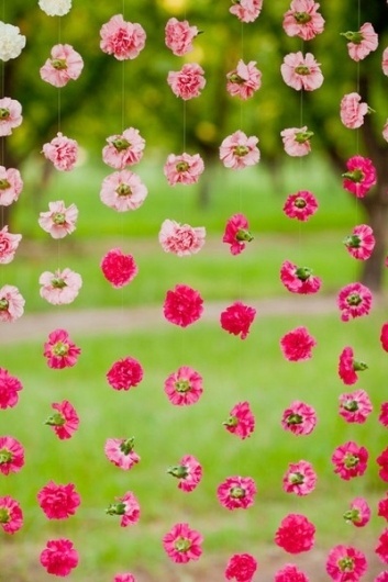 (1) uti creative / Pinterest #magenta #colour #summer #flowers