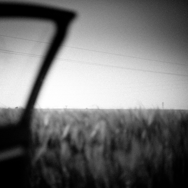 Poetry #photography #white #black #and