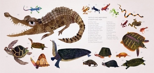 Brendan Wenzel → childrens #illustration #animals