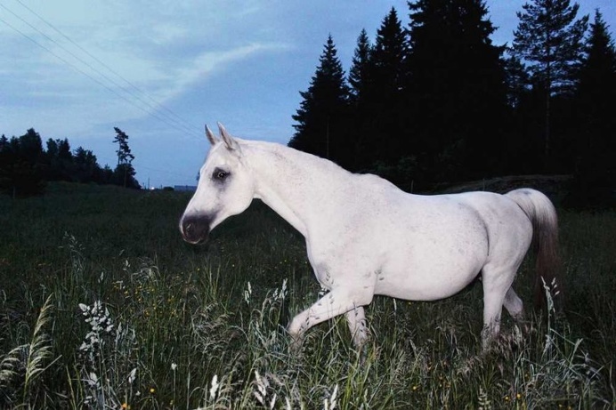 Beautiful and Dreamlike Photography by Isabella Stahl