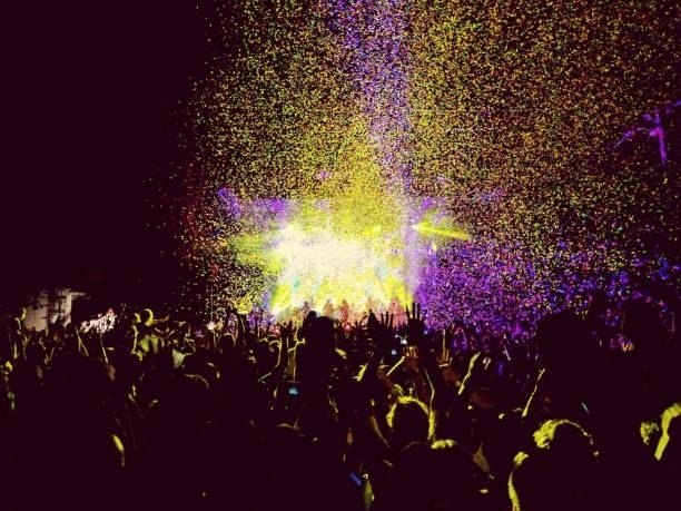 Crowd At Music Concert