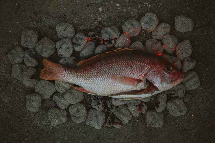 Brady Williams: Chef | Dallas, TX #photography #dark