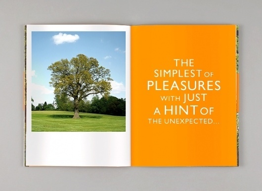 AND SMITH #type #booklet