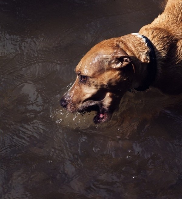 Photography by John Francis Peters #inspiration #photography #art