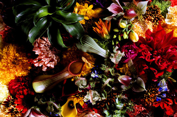 Makoto Azuma 6 #azuma #makoto #design #nature #flower #colourfull