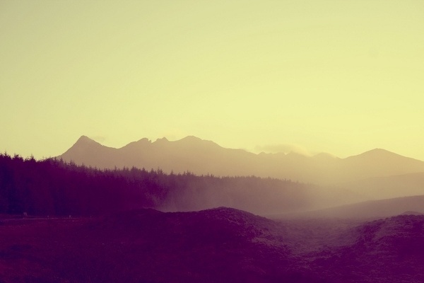 Swimming in Milk on the Behance Network #dawn #photo #yellow #vintage
