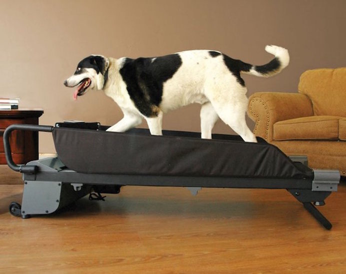 Coolest Gadgets of the Week via The Gadget Flow #29