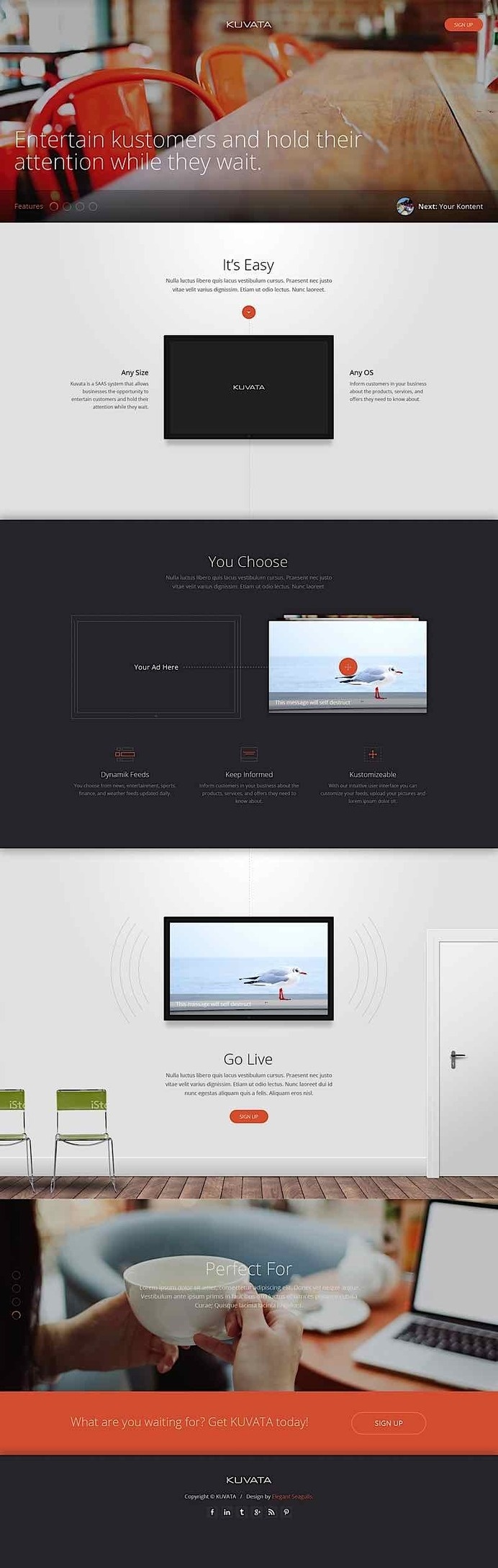 layout