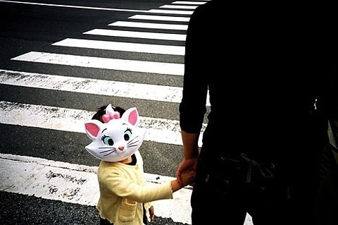 FFFFOUND! | you are adorable en Flickr: ¡Intercambio de fotos! #catface
