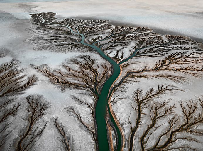 Colorado River Delta #2 Near San Felipe, Baja, Mexico, 2011