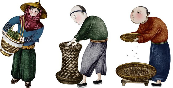 Tea packaging brand design - illustration
