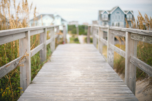 Likes | Tumblr #wood #bridge