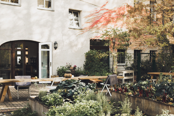 #backyard #garden #place