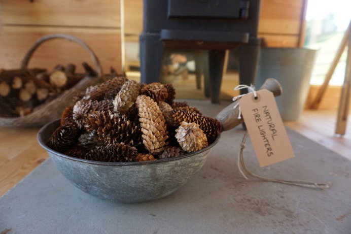 Detail of Pinecones in The Pendicle Guest Cottage at Guardswell Farm, Scotland