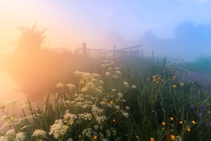 Magic Windmills: Gorgeous Sunset Photography by Albert Dros