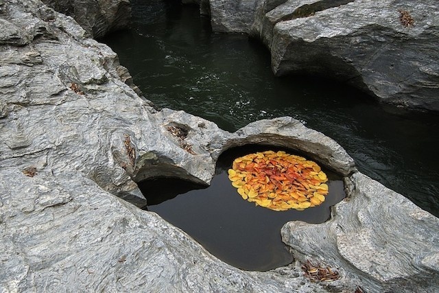 Circular Installations in Nature-5 #nature