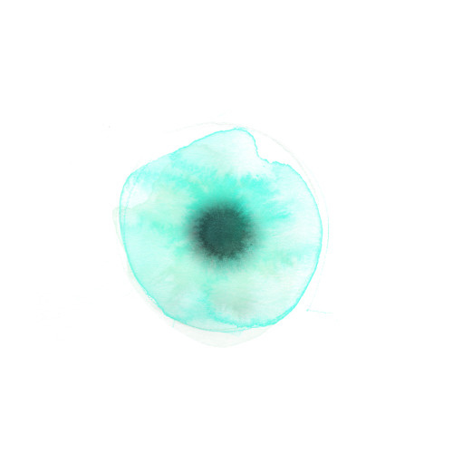 ink eye @ [ catrin mackowski ]