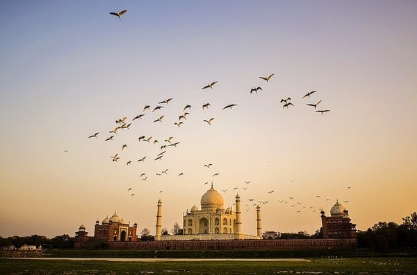 Photography by Madhusudanan Parthasarathy #inspiration #photography #art