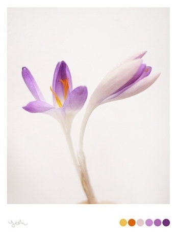 FFFFOUND! #paint #photography
