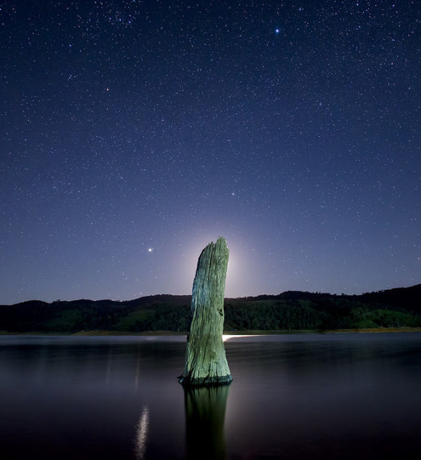 Photography by Martin Ollman #inspration #photography #art