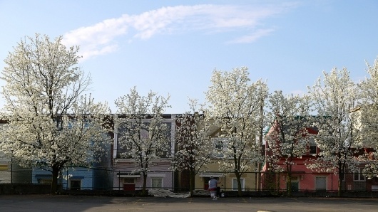 All sizes | Rowhouses | Flickr - Photo Sharing! #photography