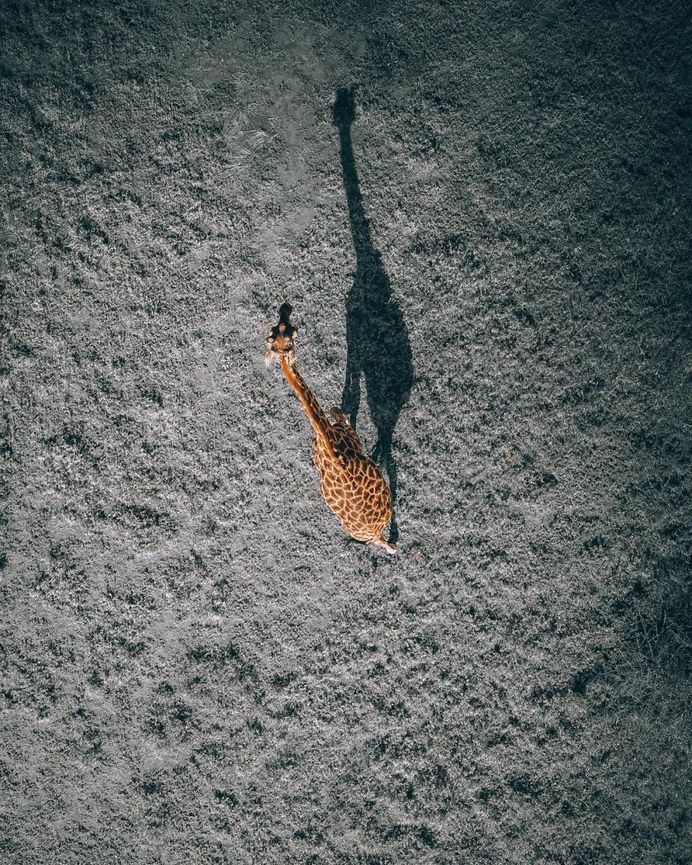 Tanzania From Above: Stunning Drone Photography by Martin Sanchez