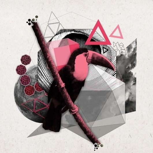 Lou Madhu #pink #digital #lou #art #madhu #collage #toucan