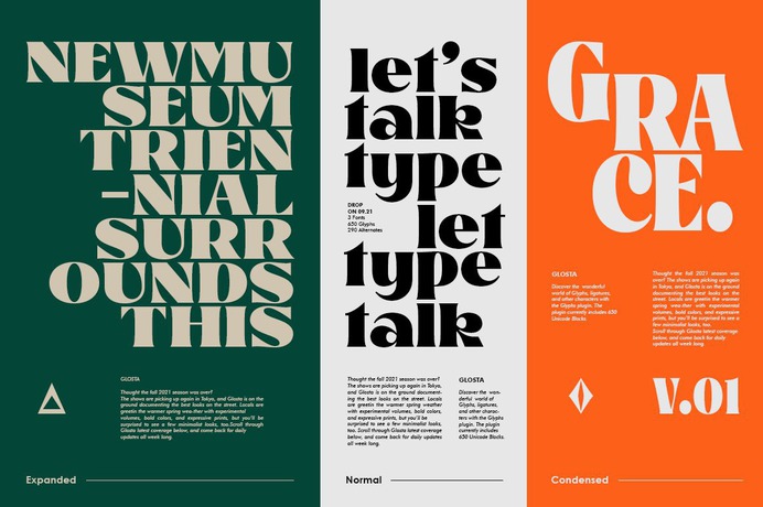 Glosta is a serif font that comes with a very beautiful change character that will bring a touch of luxury and style to your projects. Glosta is perfect for editorial design, branding, headings, logos, magazines and more.

Glosta has 650 glyphs and 290 alternate characters, including multiple language support. With OpenType features with an elegant alternative style.