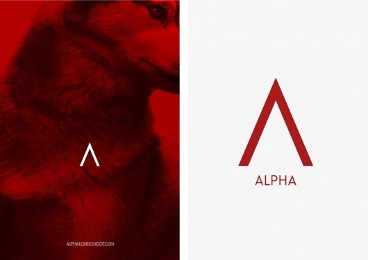 BERG Design for Print, Screen & the Environment #design #identity
